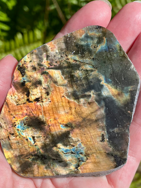 Gorgeous Labradorite Slab - Morganna’s Treasures 