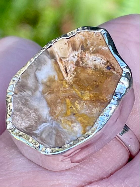 Rare Blue Forest Petrified Wood Ring Size 7 - Morganna’s Treasures