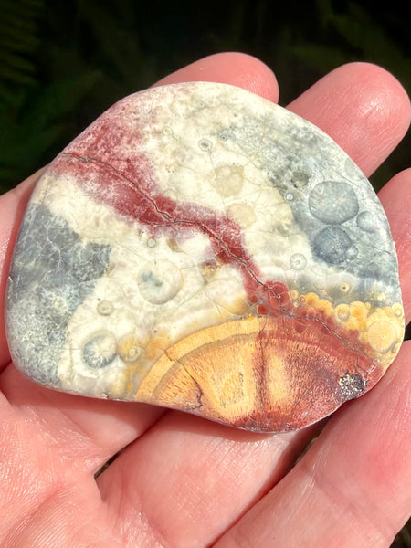 Bird's Eye Rhyolite Palm Stone - Morganna’s Treasures
