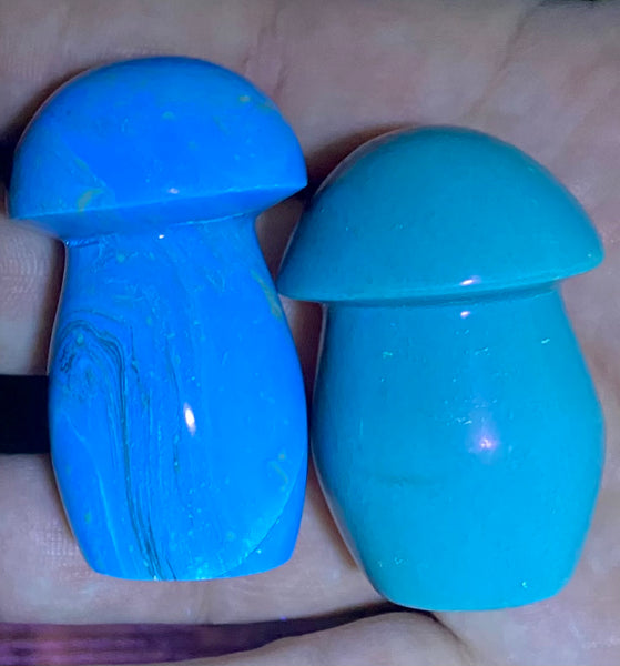 Fluorescent Blue Amber Mushroom - Morganna’s Treasures