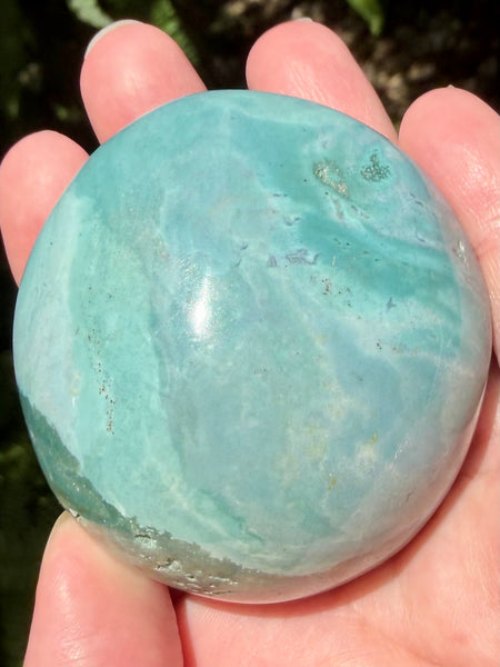Beautiful Ocean Jasper Palm Stone