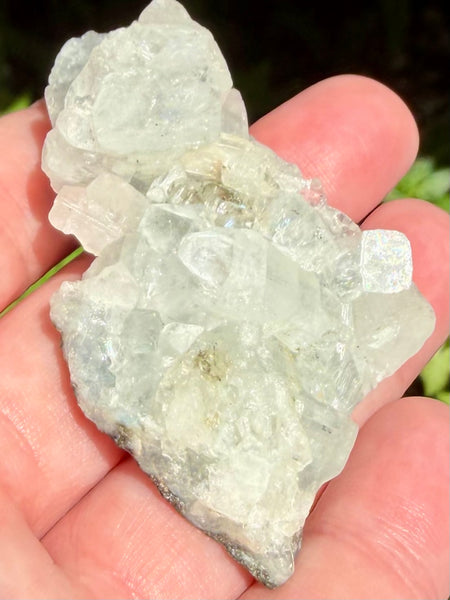 Apophyllite Cluster