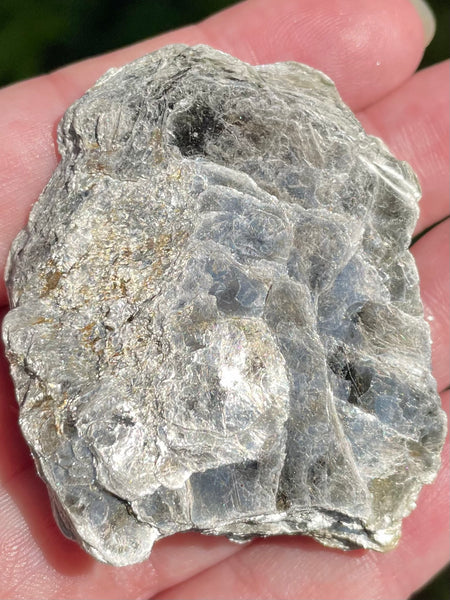 Biotite Mica Palm Stone - Morganna’s Treasures