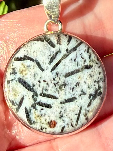 Hornblende Pendant - Morganna’s Treasures