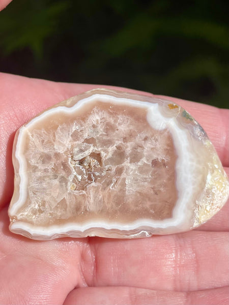 Agate Palm Stone - Morganna’s Treasures