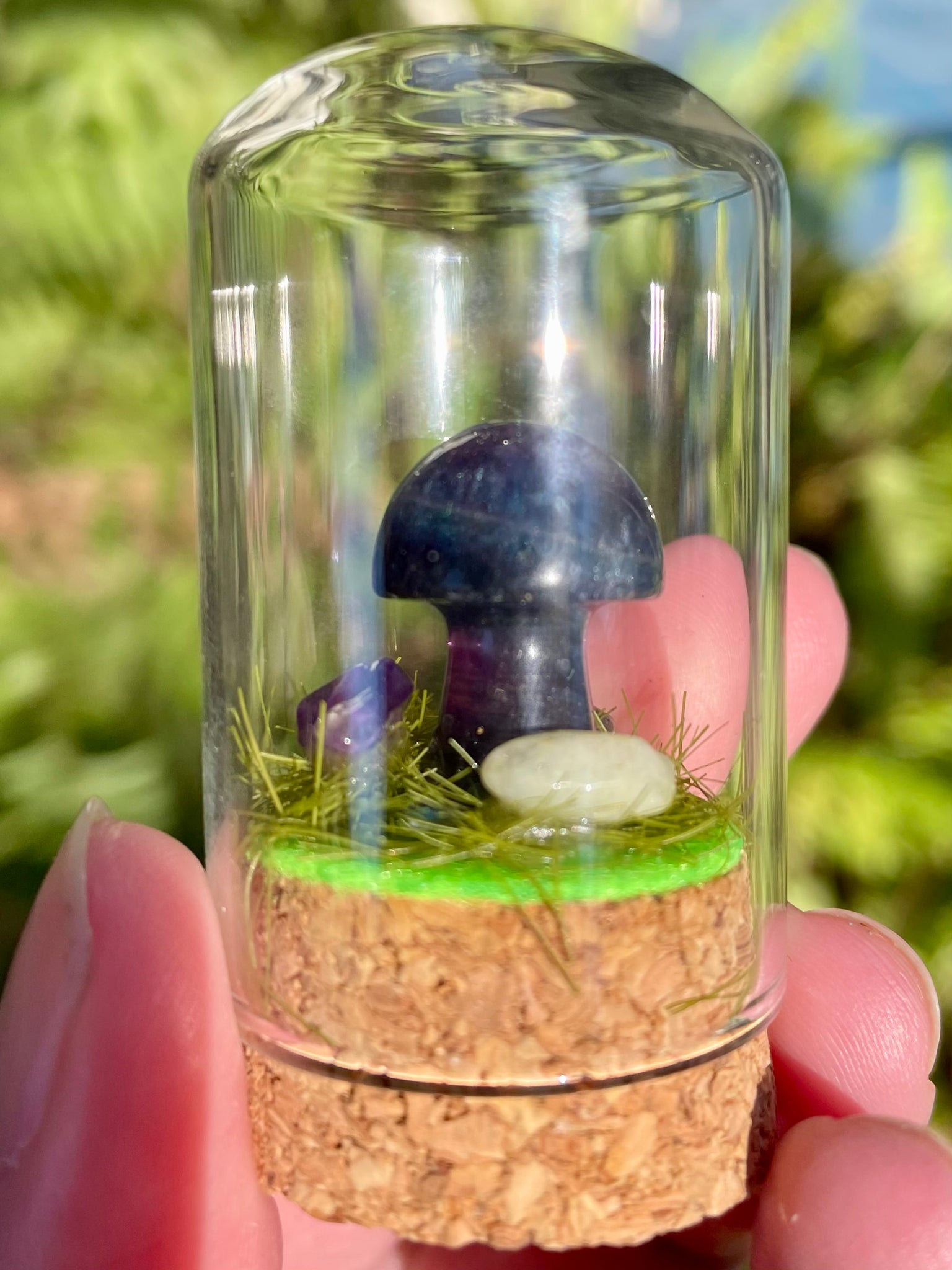 Fluorite Mushroom Terrarium