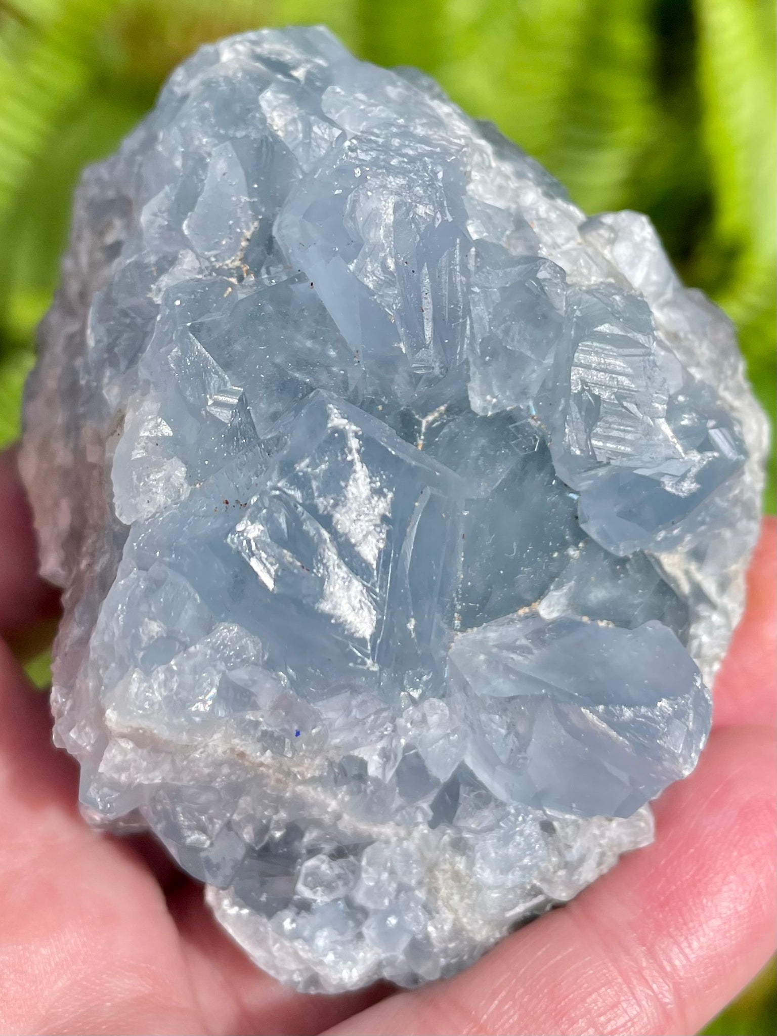 Large Celestite Cluster - Morganna’s Treasures 