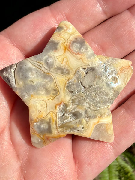 Crazy Lace Agate Druzy Star