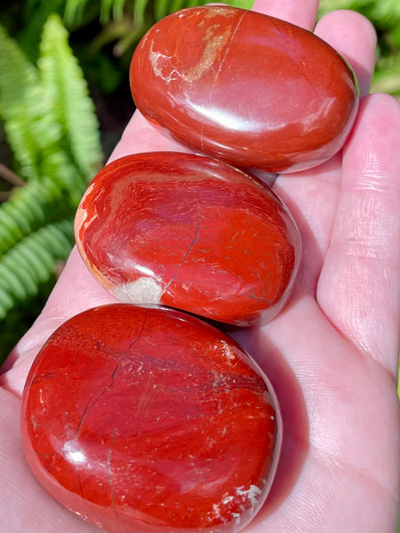 Snakeskin Jasper with Specular Hematite Palm Stone - Morganna’s Treasures