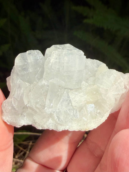 Apophyllite Cluster - Morganna’s Treasures