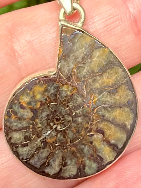 Fossil Quenstedtoceras Pyrite Ammonite Pendant