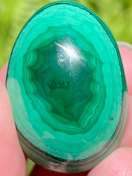 Beautiful Malachite Egg - Morganna’s Treasures