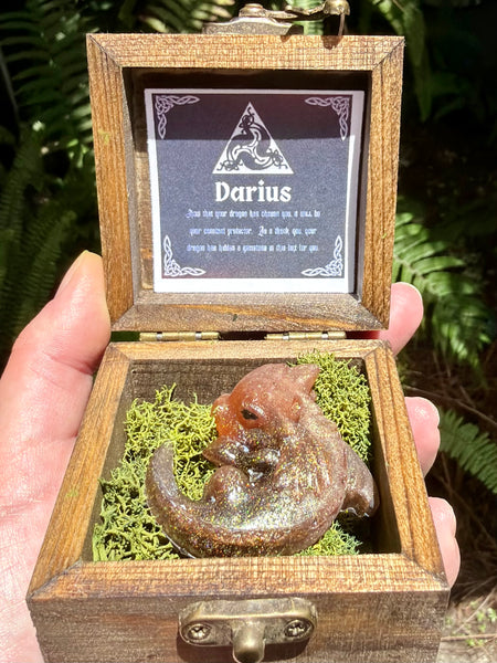 “Darius” Dragon Protector