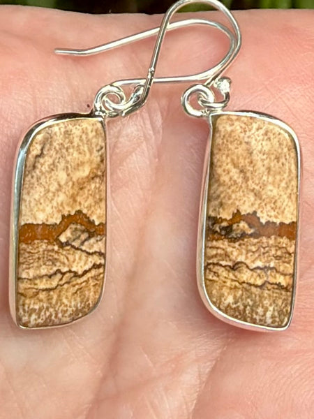 Picture Jasper Earrings