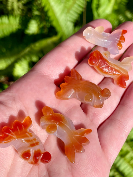 Carnelian Goldfish - Morganna’s Treasures 