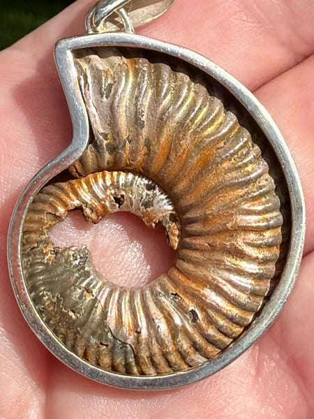 Fossil Quenstedtoceras Pyrite Ammonite Pendant - Morganna’s Treasures