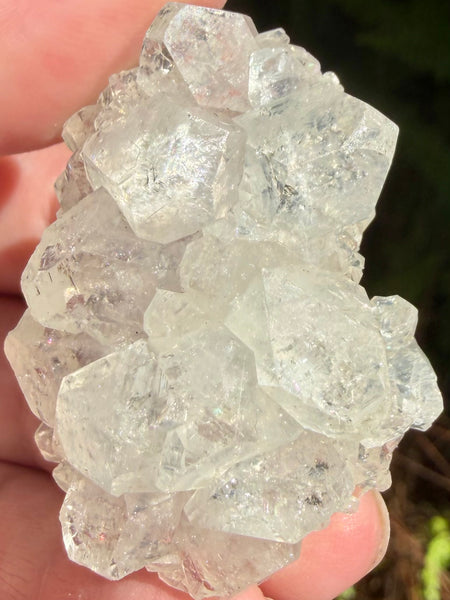 Apophyllite Cluster - Morganna’s Treasures