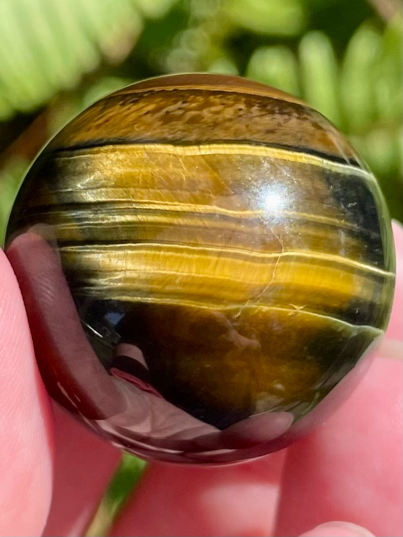 Tigers Eye Sphere - Morganna’s Treasures 