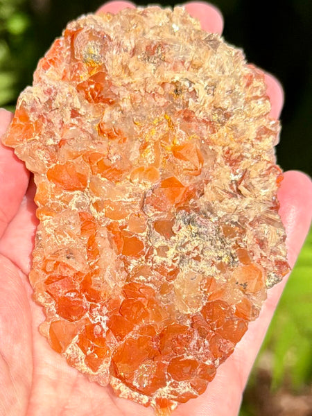 Beautiful Quartz with Hematite Inclusions Cluster