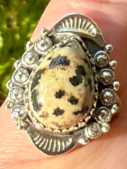 Dalmatian Jasper Ring Size 7 - Morganna’s Treasures