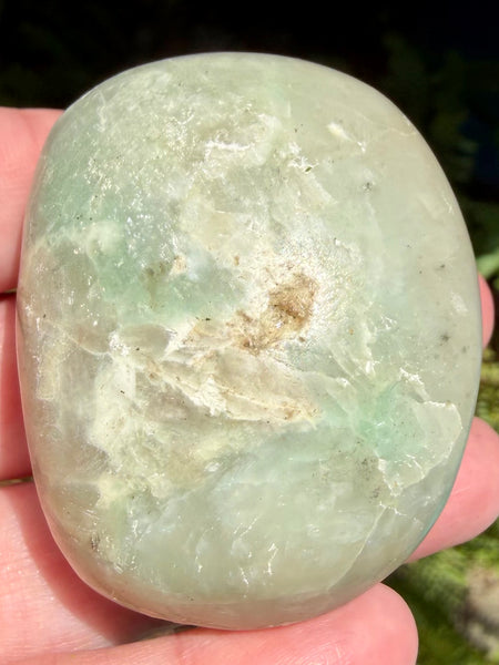 Garniérite Palm Stone