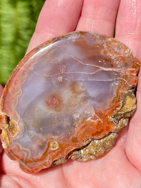 Candy Agate Palm Stone - Morganna’s Treasures 