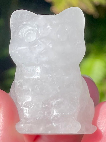 Clear Quartz Carved Cat - Morganna’s Treasures 