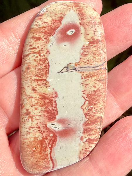 Rhyolite Palm Stone - Morganna’s Treasures