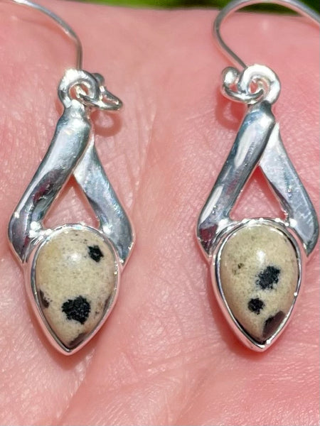 Dalmatian Jasper Earrings - Morganna’s Treasures 