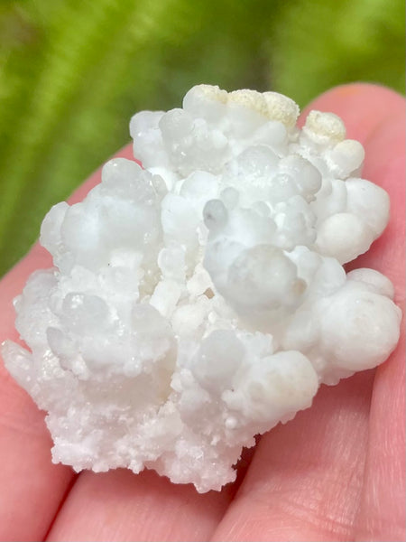 Fluorescent White Aragonite - Morganna’s Treasures 