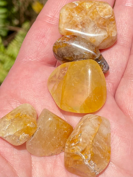 Golden Healer Quartz Tumbled Stones - Morganna’s Treasures