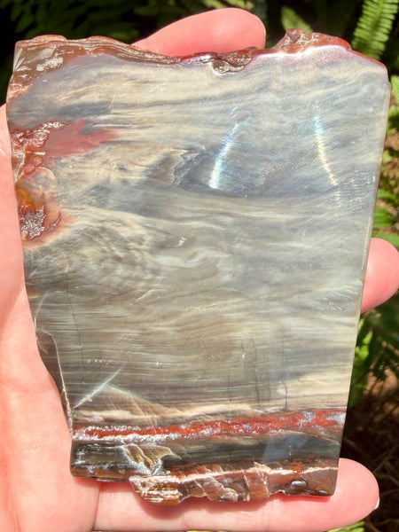 Gorgeous Cherry Creek Jasper Plate