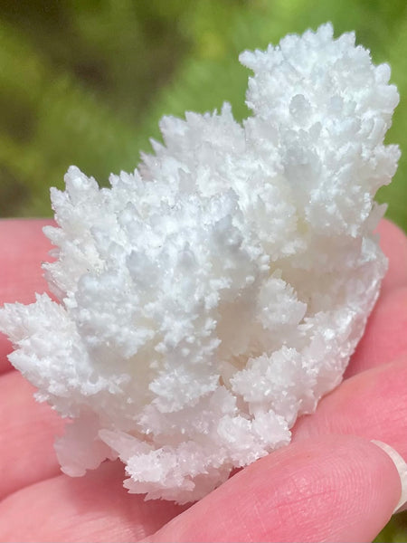 Fluorescent White Aragonite - Morganna’s Treasures 