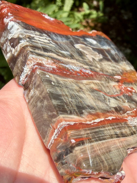 Gorgeous Cherry Creek Jasper Plate