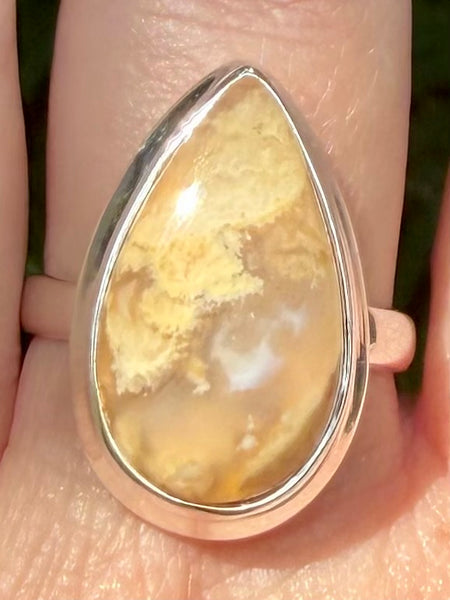 Graveyard Plume Agate Ring Size 10