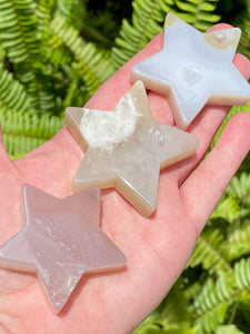 Flower Agate Star Palm Stones - Morganna’s Treasures 
