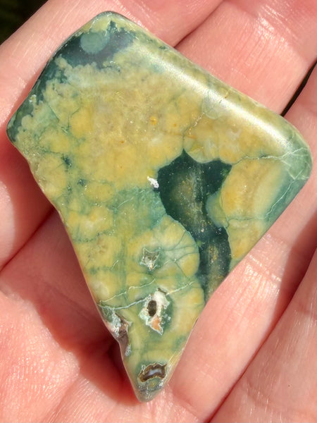 Rainforest Jasper Palm Stone - Morganna’s Treasures