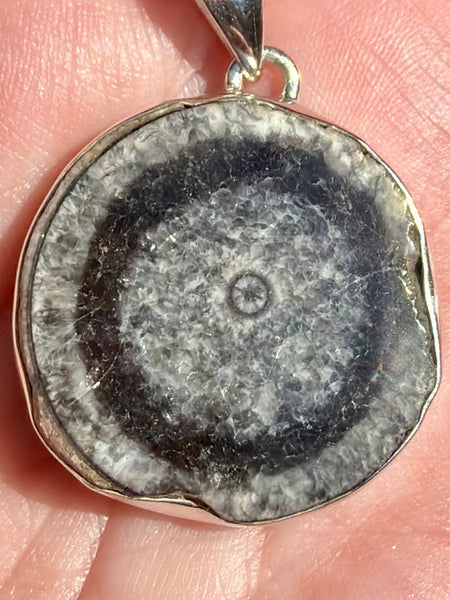Black Horn Coral Pendant
