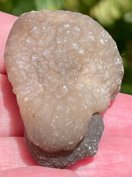 Botroyoidal Chalcedony Palm Stone - Morganna’s Treasures 