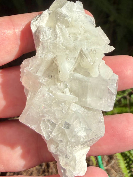 Apophyllite with Stilbite Crystal Cluster - Morganna’s Treasures