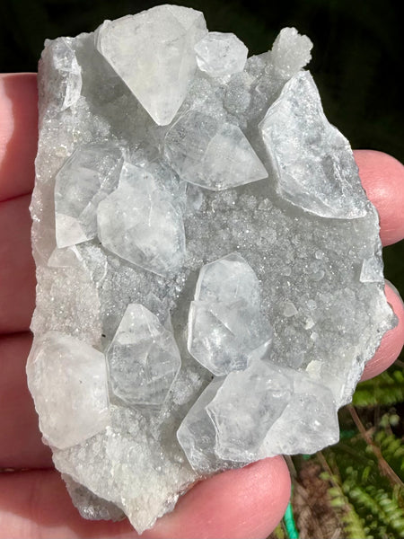 Apophyllite Cluster - Morganna’s Treasures