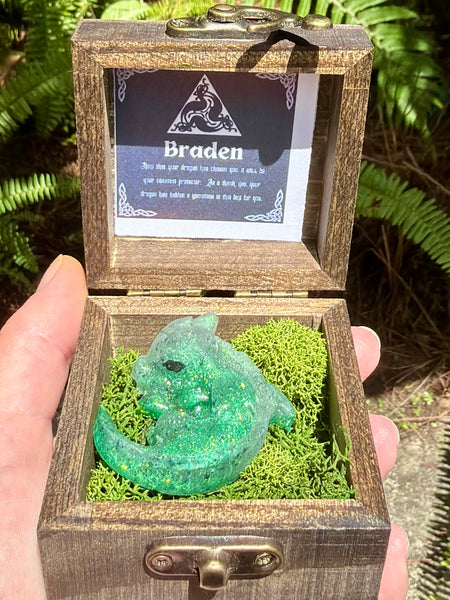 “Braden” Dragon Protector