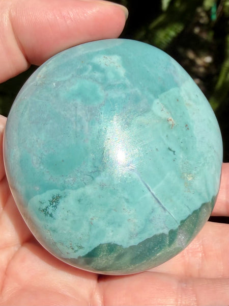 Beautiful Ocean Jasper Palm Stone