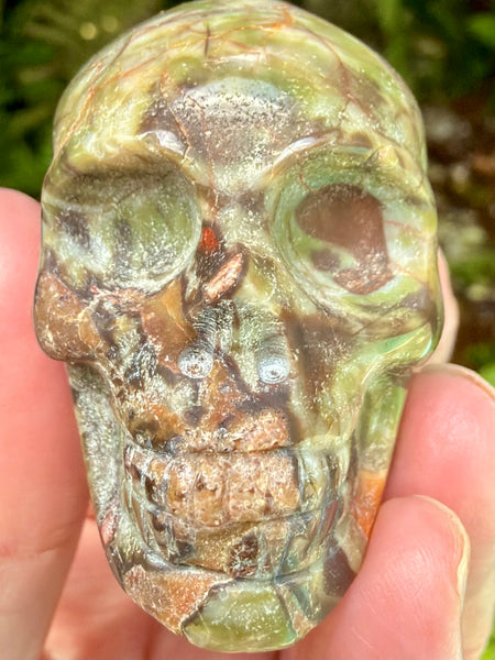 Money Agate Skull