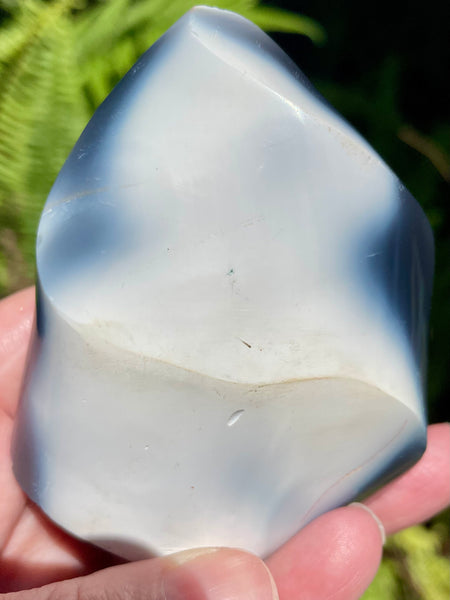 Orca Agate Flame - Morganna’s Treasures