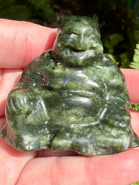Serpentine Buddha