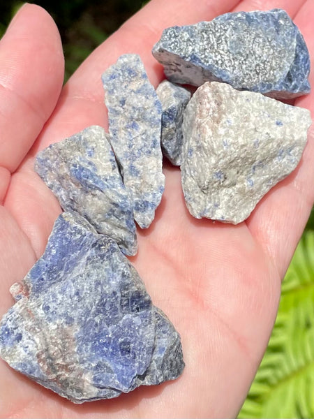 Small Rough Sodalite - Morganna’s Treasures 