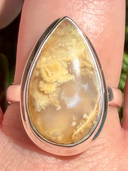 Graveyard Plume Agate Ring Size 10 - Morganna’s Treasures