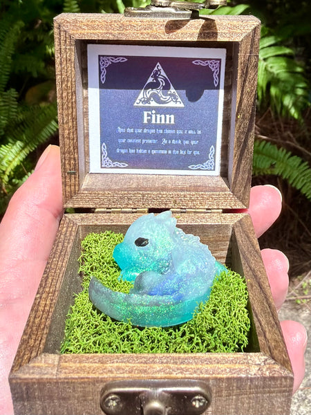 “Finn” Dragon Protector