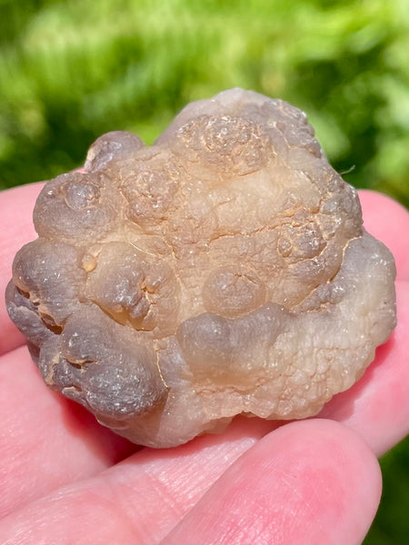 Botroyoidal Chalcedony Palm Stone - Morganna’s Treasures 